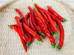 自然栽培・固定種赤唐辛子「札幌ほんから」200g