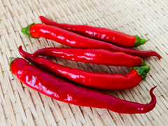 自然栽培・固定種赤唐辛子「札幌ほんから」50g