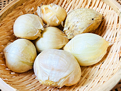 自然栽培ジャンボにんにく300g前後