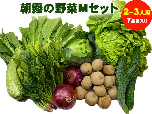 朝霧の野菜セットMセット