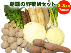 朝霧の野菜セットMセット