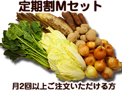 【定期割り】朝霧の野菜セットMセット