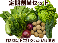 【定期割り】朝霧の野菜セットMセット