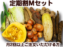 【定期割り】朝霧の野菜セットMセット