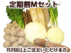 【定期割り】朝霧の野菜セットMセット
