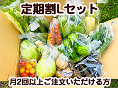 【定期割り】朝霧の野菜セットLセット
