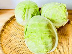 自然栽培キャベツ2.2kgセット