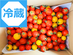 【冷蔵便】自然栽培ミニトマト2.2kg(北海道・東北・関東送料無料）
