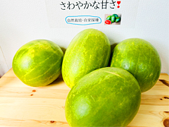 ＜北海道・関東限定＞自然栽培自家採種すいか『よっちゃんの夢まくら』9kgセット送料無料