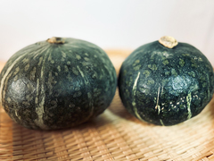 中西農園産自然栽培かぼちゃ1.6kgセット