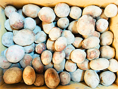 自然栽培さやあかねLMサイズ10kg