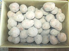 自然栽培さやあかねS～2Sサイズ5kg