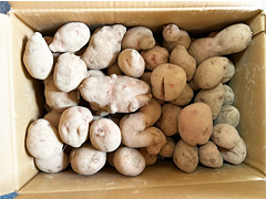 自然栽培さやあかね訳あり10kg