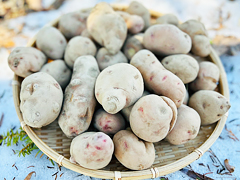 自然栽培さやあかね訳あり品3kg