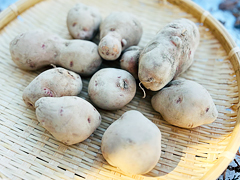 自然栽培さやあかね訳あり品1kg