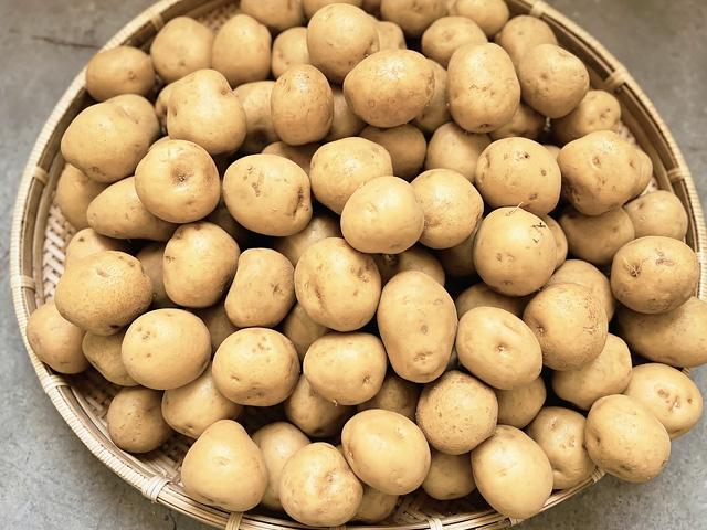 中西さんの自然栽培北あかり大地のりんごＳサイズ5kg前後