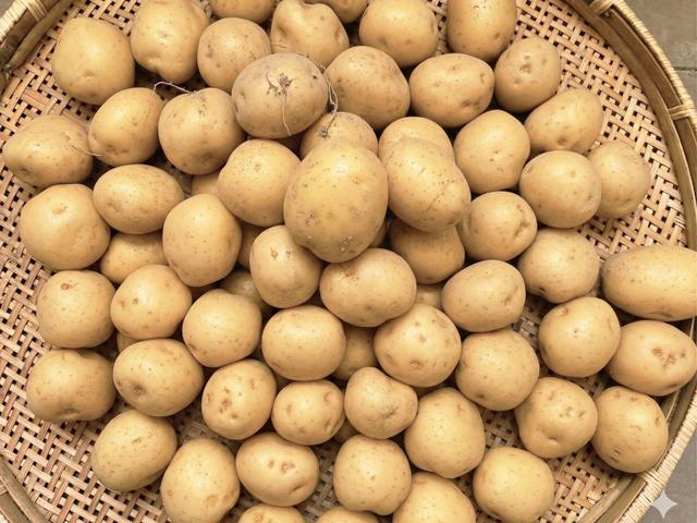 中西さんの自然栽培北あかり大地のりんごＳサイズ3kg前後