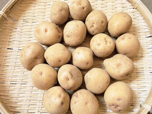 中西さんの自然栽培北あかり大地のりんごＳサイズ1kg前後