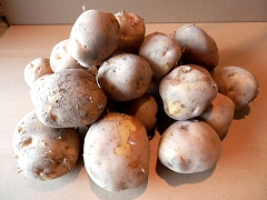 中西さんの自然栽培北あかり大地のりんごLMサイズ3kg前後