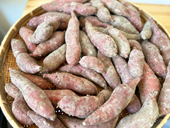 自然栽培の野菜を宅配する倶楽部大地