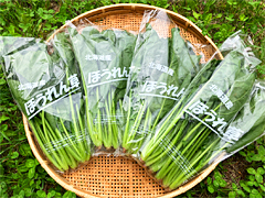 【お得】高野さんの自然農法ほうれん草3袋＋1袋プレゼント