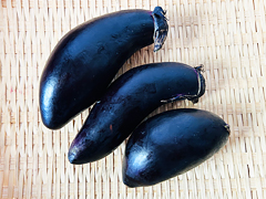 自家採種・自然栽培なすび250g前後