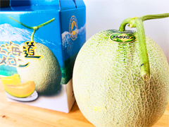 【訳あり】自然栽培銀河メロン超特大2.6kg