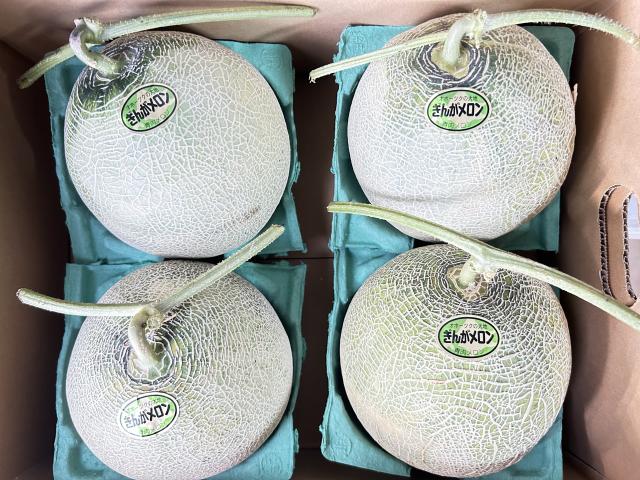自然栽培の野菜を宅配する倶楽部大地
