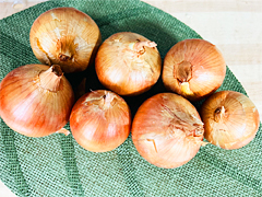 自家採種・有機質農法「北見黄玉ねぎ」1kg