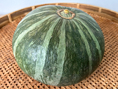 自家採種・自然栽培ほっこりかぼちゃLサイズ