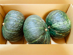 自家採種・自然栽培ほっこりかぼちゃ5kgセット