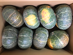 自家採種・自然栽培ほっこりかぼちゃ10kgセット