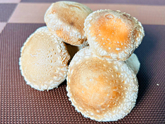 【特売】自然栽培原木生しいたけ100g