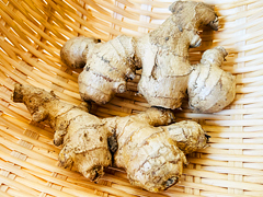 自然栽培生姜100g