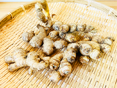 自然栽培生姜300g