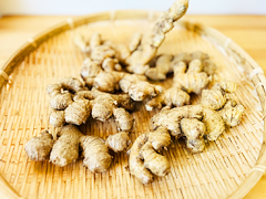 自然栽培生姜500g