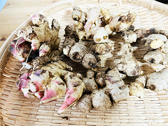 自然栽培新生姜500g