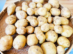 自然栽培出島じゃがいも5kg