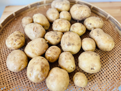 自然栽培出島じゃがいも3kg