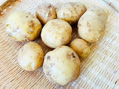 自然栽培出島じゃがいも1kg