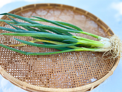 自然栽培草葱200g