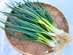 自然栽培草葱500g