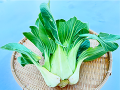 静岡県産自然栽培チンゲンサイ菜500g