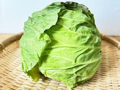 須賀さんの自然農法キャベツMサイズ