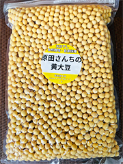 節分セール！20％オフ自然栽培原田さんの黄大豆950ｇ