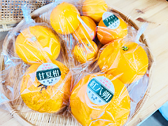 【送料無料】旬の柑橘3種食べ比べセット2.1kg前後