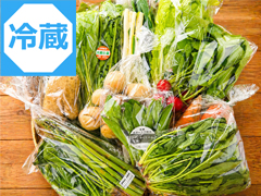 【定期割・冷蔵便】朝霧の野菜Lセット（冷蔵料金込み）