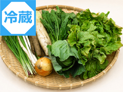 【冷蔵便】朝霧の野菜Mセット（冷蔵料金込み）