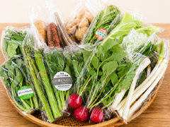 【定期割】朝霧の野菜Mセット