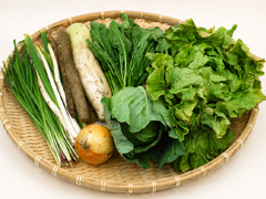 【常温便】朝霧の野菜Mセット